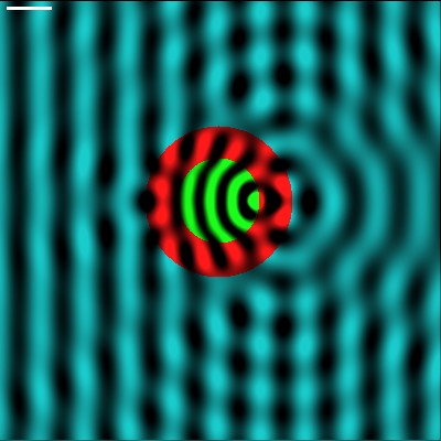 /images/extern/emwave2d.googlecode.com/Save-BMP-1.jpg